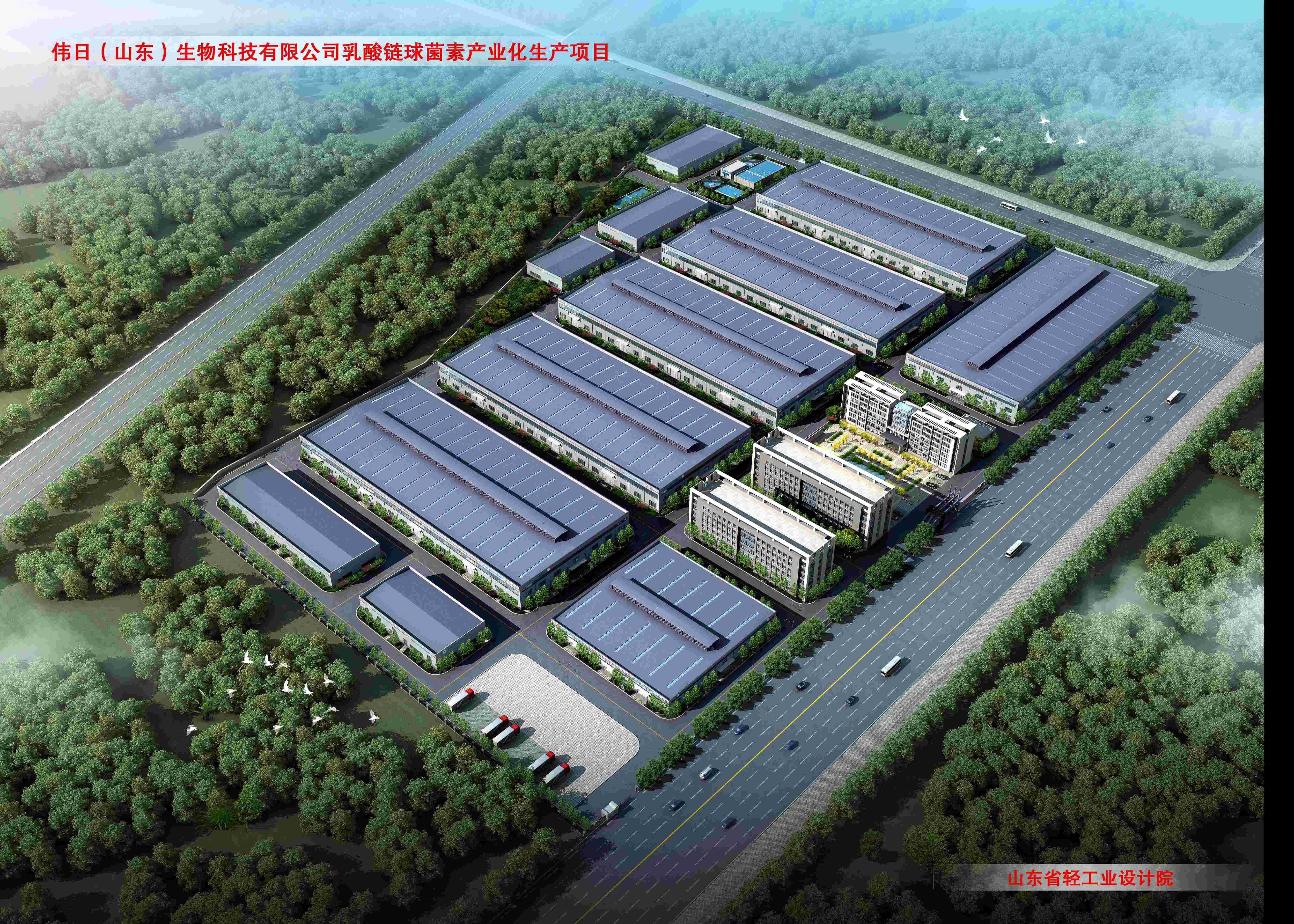 偉日（山東）生物科技乳酸鏈球菌素產(chǎn)業(yè)化項目